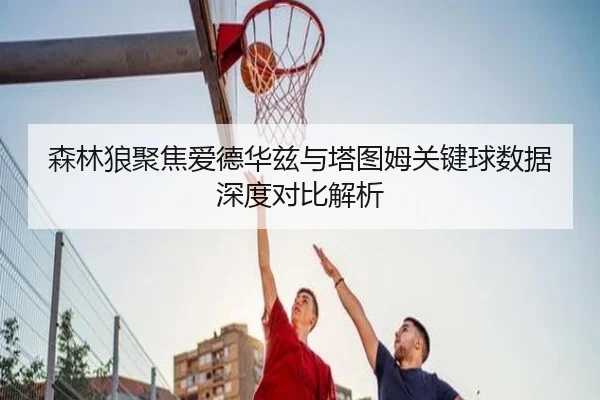 森林狼聚焦爱德华兹与塔图姆关键球数据深度对比解析